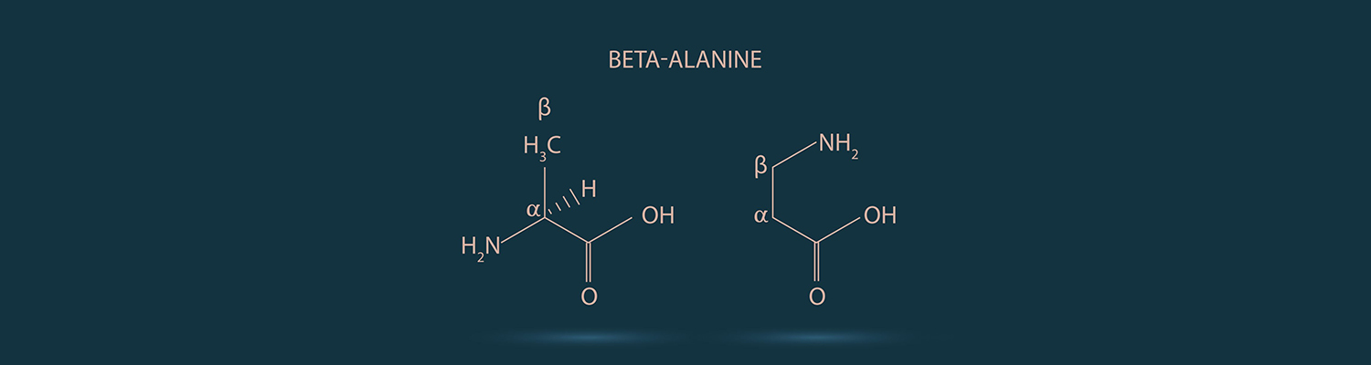 مکمل بتا آلانین چیست؟ | فواید، عوارض و نحوه مصرف